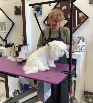 Valley of the Paws Pet Grooming - Sheila